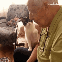 an elderly man sitting on a couch looking at a black and white cat with petcollective written on his shirt