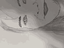 a close up of a drawing of a woman 's eyes