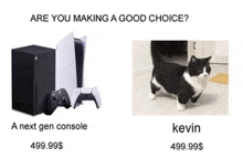 a picture of a cat next to a picture of a xbox console .