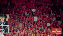 a crowd of people wearing red shirts with a cedar pointe logo in the corner