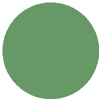 a green circle on a white background that is plain