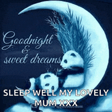 a couple of pandas sitting on a crescent moon with the words goodnight sweet dreams sleep well my lovely mum xxx