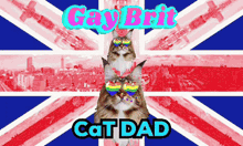 a cat wearing rainbow glasses is standing in front of a british flag that says gay brit cat dad