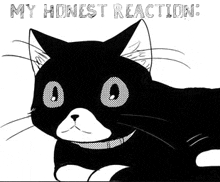 a black and white drawing of a cat with big eyes and the words `` my honest reaction '' written above it .