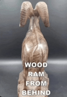 a wooden ram statue with the words wood ram from behind written on it