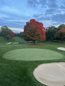 a golf course with a green and a tree with red leaves in the background