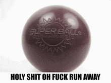 a purple super ball with the words holy shit oh fuck run away underneath it