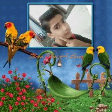 a picture of a boy surrounded by birds and flowers with a frame that says shera shah lover