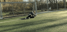 a man is kneeling on a soccer field with his arms outstretched