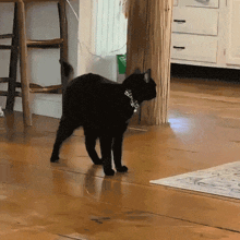 a black cat is walking on a wooden floor next to a stool