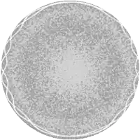 a silver coin with the year 2013 written in the middle