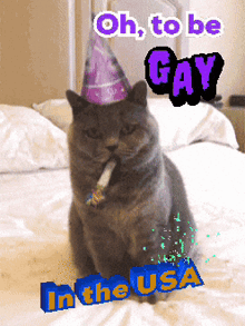 a cat wearing a party hat is sitting on a bed with the words oh to be gay in the usa