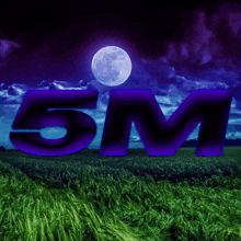 the word 5m is displayed in purple letters