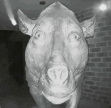 a black and white photo of a statue of a pig .