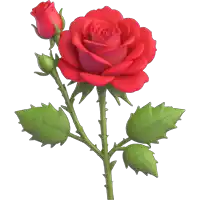 a red rose with thorns and green leaves