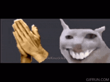 a picture of a praying hand next to a picture of a smiling cat ..