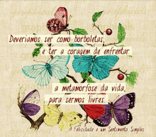 a poster with butterflies and a quote that says " deveriamos ser como borboletas "