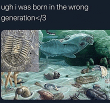 a picture of a trilobite and the words ugh i was born in the wrong generation < / 3