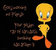 a cartoon of tweety saying `` good morning my friends , your golden ray of sarcastic sunshine has arises ''