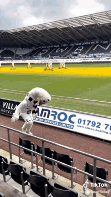 a mascot is standing in the stands of a soccer stadium next to a sign for amroc heating services limited