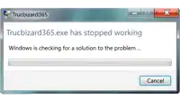 a window that says " trucbizard365.exe has stopped working "