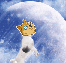 a doge with blue eyes is standing in front of a moon