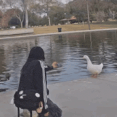 a person is feeding a white duck by a pond