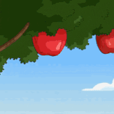 three red apples are hanging from a tree branch