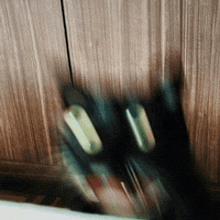 a blurry picture of a person 's feet in front of a wooden wall