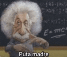 a cartoon of albert einstein standing in front of a blackboard with the words `` puta madre '' written on it .