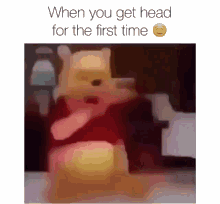 a picture of winnie the pooh with a caption that says when you get head for the first time