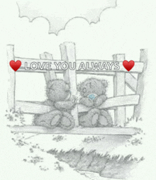 a drawing of two teddy bears sitting on a fence with the words love you always