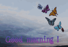 a picture of butterflies with the words good morning