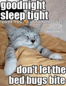 a cat is sleeping under a blanket with the words " goodnight sleep tight love you lucky n noofle " above it