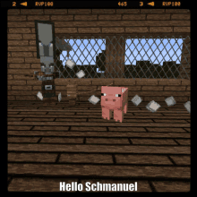 a screenshot of a video game with the words hello schmanuel