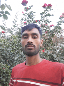 a man in a red shirt stands in front of a bush with red flowers