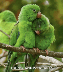 a couple of green birds hugging on a branch with the words happy anniversary written below them