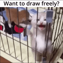 two cats in a cage with the words want to draw freely