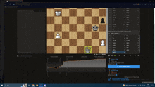 a computer screen shows a chess board with a king and pawn on it