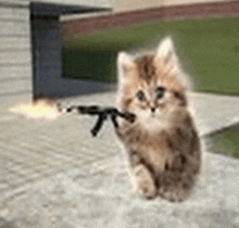 a kitten is sitting on the ground holding a gun .