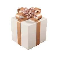 a white gift box with a rose gold ribbon