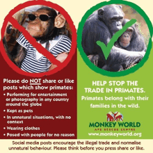 an advertisement for monkeyworld ape rescue centre encourages people to not share or like posts which show primates