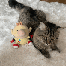 a cat laying next to a stuffed animal that looks like a cartoon character