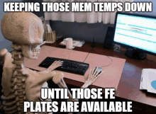 a skeleton sits at a desk in front of a computer with the caption " keeping those mem temps down