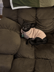 a small black dog wearing a sweater is laying on a brown couch