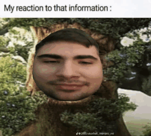 a picture of a man 's face with a tree in the background and the caption " my reaction to that information "