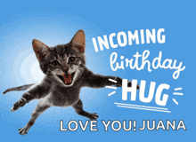 a birthday card with a cat and the words " incoming birthday hug "