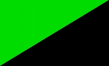 a green and black triangle on a green screen