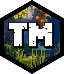 a minecraft logo with the letters tm in a hexagon