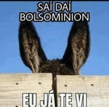 a donkey peeking over a wooden fence with a caption that says `` sai dai bolsominion eu ja te vi '' .